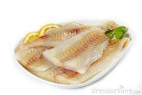 Corvina Fish In English