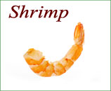 Shrimp